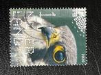 3131 NL 2020 - Beleef Natuur- Roofvogels en Uilen gestempeld, Postzegels en Munten, Postzegels | Nederland, Na 1940, Ophalen, Gestempeld