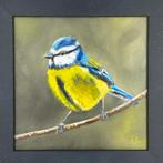 Vogel pimpelmees met lijst, Antiek en Kunst, Ophalen of Verzenden