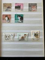 Postzegels katten uit de jaren 1980-1990, Ophalen of Verzenden, Verzamelalbum