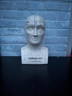 Antiek Frenologie Hoofd L.N. Fowler, Ophalen