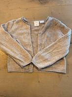 Zara vest van wol en cashmere - maat 110 - goede staat!, Meisje, Trui of Vest, Ophalen of Verzenden, Zo goed als nieuw