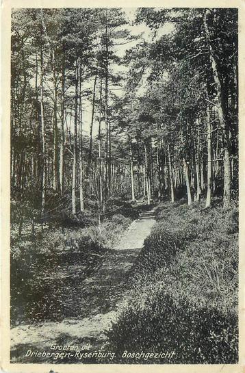 (388-409-041) Driebergen-Rijsenburg Boschgezicht beschikbaar voor biedingen