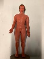 Anatomie pop menselijk lichaam, Ophalen of Verzenden, Gebruikt, Ontdekken