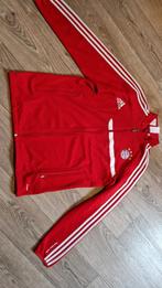 Bayern Munchen vest 176, Ophalen of Verzenden, Zo goed als nieuw, Trui of Vest