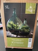 Plant Terrarium Starter Set 5L, Huis en Inrichting, Ophalen of Verzenden, Halfschaduw, Minder dan 100 cm