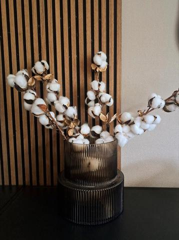 H&M home vaas bruin rib glas incl takken beschikbaar voor biedingen