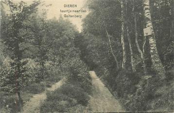 (387-224-027) Dieren Laantje naar den Geitenberg beschikbaar voor biedingen