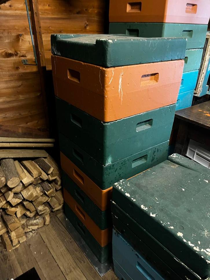 Complete Segebergerkasten met volken, Dieren en Toebehoren, Insecten en Spinnen, Bijen