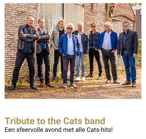 Kaartjes Tribute to the Cats band in Amphion, Tickets en Kaartjes, Concerten | Pop, Twee personen, Oktober