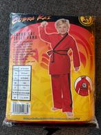 Kinder kostuums, Carnaval, Ophalen of Verzenden, Zo goed als nieuw, Kleding