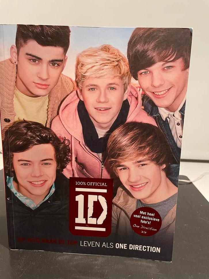 One Direction - Op Weg Naar De Top, Boeken, Biografieën, Zo goed als nieuw, Film, Tv en Media, Ophalen of Verzenden