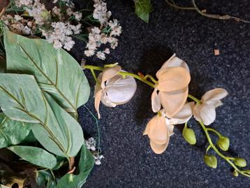 KunstPlanten voor terrarium beschikbaar voor biedingen