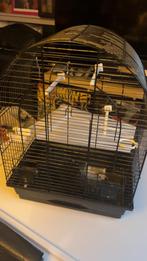 Parkieten kooi zonder standaard, Dieren en Toebehoren, Ophalen, Metaal, Vogelkooi