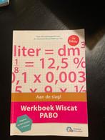 Werkboek Wiscat Pabo - Rekenen, Boeken, Studieboeken en Cursussen, Ophalen of Verzenden, Beta, Gelezen, HBO