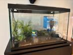 Leuke set, Dieren en Toebehoren, Ophalen, Zo goed als nieuw, Leeg aquarium