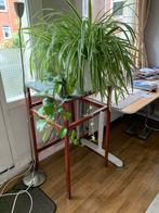 Grote plantentafel. 56 cmx 56 x 97, Ophalen of Verzenden, Overige soorten, Minder dan 100 cm