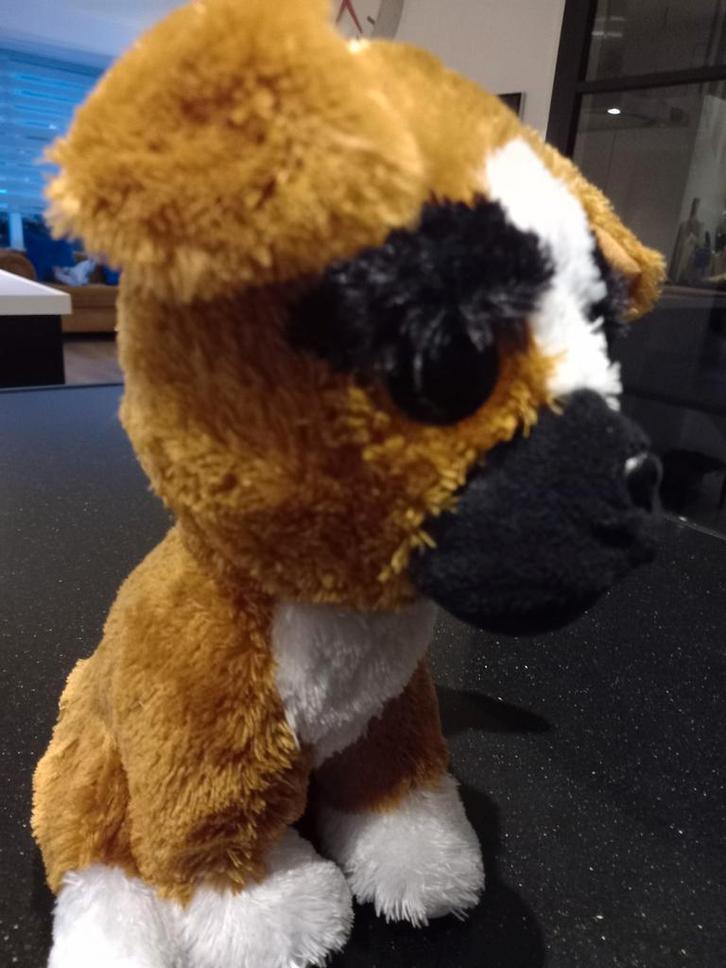 TY Knuffel Hond - Grote Ogen - Perfecte Staat, Kinderen en Baby's, Speelgoed | Knuffels en Pluche, Zo goed als nieuw, Hond, Ophalen of Verzenden