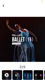 Ballet voorstelling Doornroosje MECC, Tickets en Kaartjes, Twee personen, November