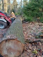 Zaaghout amerikaanse eik 6,10m lang, Tuin en Terras, Haardhout, Minder dan 3 m³, Ophalen of Verzenden