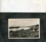 Ansicht Bunde - Aan de Maas, Verzenden, 1960 tot 1980, Gelopen, Limburg