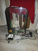 Biorb 60 L, Ophalen, Gebruikt, Leeg aquarium
