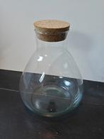 Terrarium vaas, Ophalen