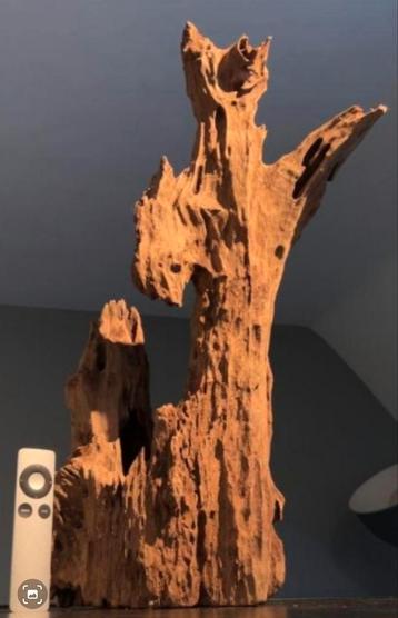 ½e PRIJS: ANTIEK XXL Driftwood / drijfhout / kienhout  beschikbaar voor biedingen