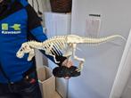 Dinosaurus Skelet - Tyrannosaurus Rex, Ophalen, Nieuw, Wanddecoratie