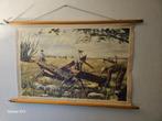schoolplaat  Aruba linnen op papier rolschoolplaat authentie, Antiek en Kunst, Ophalen of Verzenden