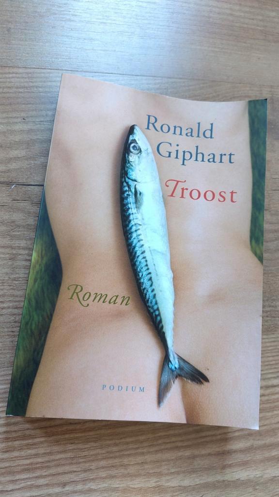 Ronald Giphart - Troost, Boeken, Literatuur, Zo goed als nieuw, Ophalen of Verzenden