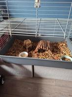 Konijn / cavia kooi, Dieren en Toebehoren, Ophalen, Kooi, Konijn, Minder dan 60 cm
