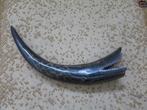 mooie echte hoorn in vis vorm 32 cm, Ophalen of Verzenden