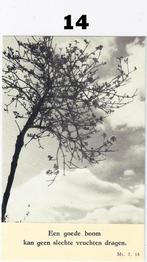 Bp14 prentje een goede boom kan geen slechte vruchten dragen, Verzamelen, Ophalen of Verzenden, Zo goed als nieuw, Kaart of Prent