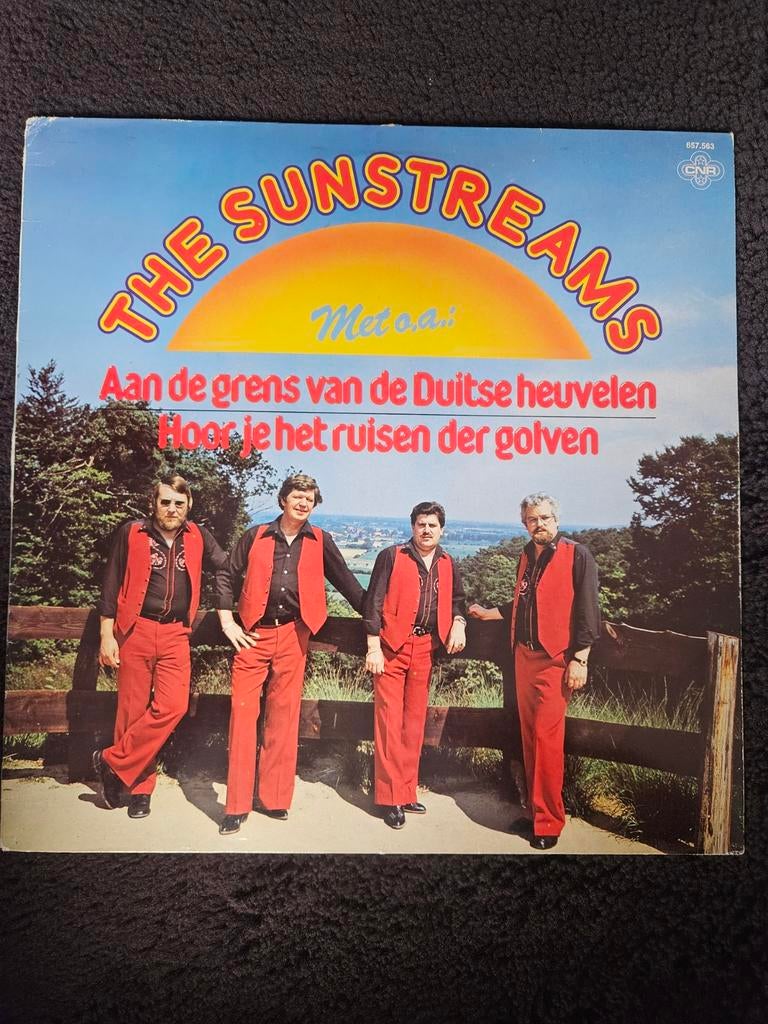 LP vinyl The Sunstreams verzamelalbum, Ophalen of Verzenden, Gebruikt, 12 inch, Levenslied of Smartlap