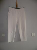 Knit-ted broek  Maat L, Kleding | Dames, Maat 38/40 (M), Overige kleuren, Knit-ted, Ophalen of Verzenden