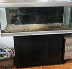 Aquarium te koop, Dieren en Toebehoren, Reptielen en Amfibieën | Toebehoren, Ophalen, Gebruikt