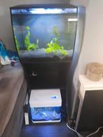 Aquaruim met meubel, Dieren en Toebehoren, Vissen | Aquaria en Toebehoren, Ophalen