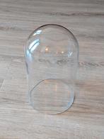 Kleine glazen stolp, Ophalen of Verzenden, Zo goed als nieuw