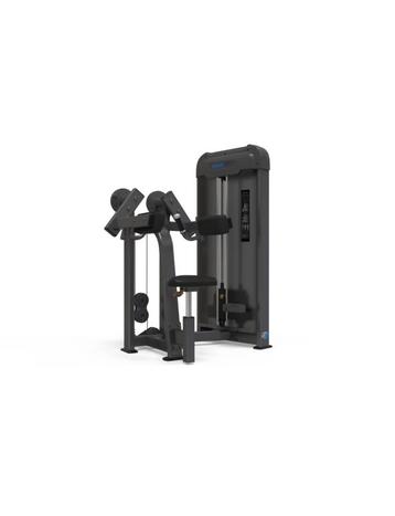 LP113 | GYMFIT LATERAL RAISE | LUXURY-LINE PLUS beschikbaar voor biedingen