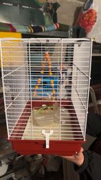 Vogelkooi met een schommol speelgoed, Dieren en Toebehoren, Vogels | Hokken en Kooien, Ophalen, Zo goed als nieuw, Metaal, Vogelkooi