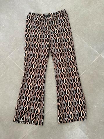 Jazzpant beschikbaar voor biedingen