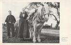 AXEL Klederdracht met Paard, Verzamelen, Ansichtkaarten | Nederland, Verzenden, 1940 tot 1960, Gelopen, Zeeland