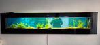 Wand aquarium 200x45x11 cm, Dieren en Toebehoren, Ophalen, Zo goed als nieuw, Leeg aquarium