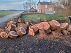 6 Kuub Sequoia Hout - Schijven 20-30cm, Tuin en Terras, Haardhout, 6 m³ of meer, Ophalen, Overige houtsoorten, Blokken