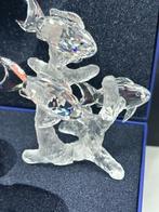 Swarovski School vissen incl.Doos & certificaat, Ophalen of Verzenden, Nieuw