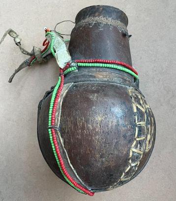 Afrikaanse melk kalebas, Masai? beschikbaar voor biedingen