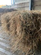 HOOI VOOR PAARDEN PONY, Dieren en Toebehoren, Dierenvoeding, Ophalen, Vee