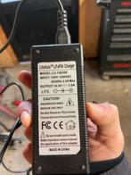 Goede 12V Accu Oplader - LiitoKala LiFePO4, Auto-onderdelen, Ophalen of Verzenden, Gebruikt, Universele onderdelen