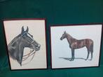 Paardentekeningen., Ophalen of Verzenden