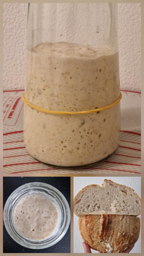 Zuurdesem starter, Diversen, Levensmiddelen, Ophalen